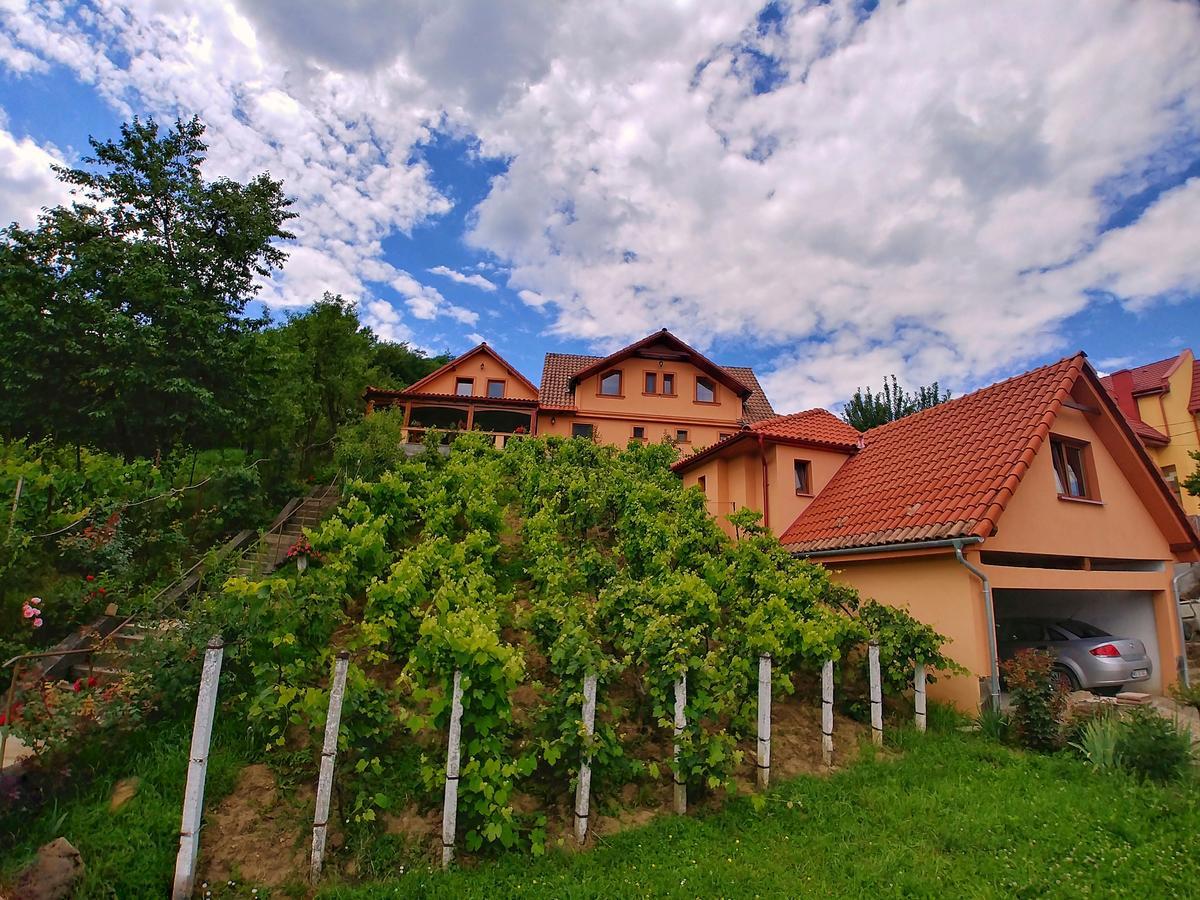 Отель Casa Adam Сигишоара Экстерьер фото