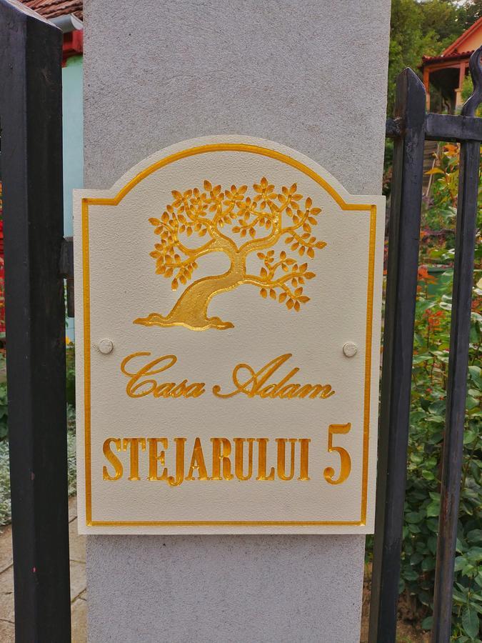 Отель Casa Adam Сигишоара Экстерьер фото